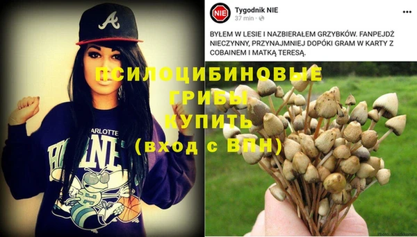 мяу мяу мука Зерноград