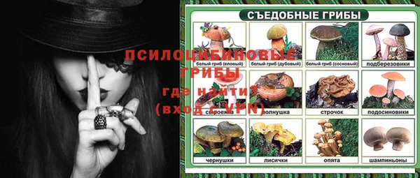 Альфа ПВП Зеленокумск