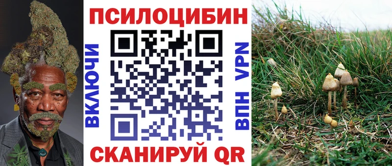 Галлюциногенные грибы Magic Shrooms  нарко площадка телеграм  Карабаш 